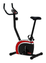 53114 York Performance Upright Bike